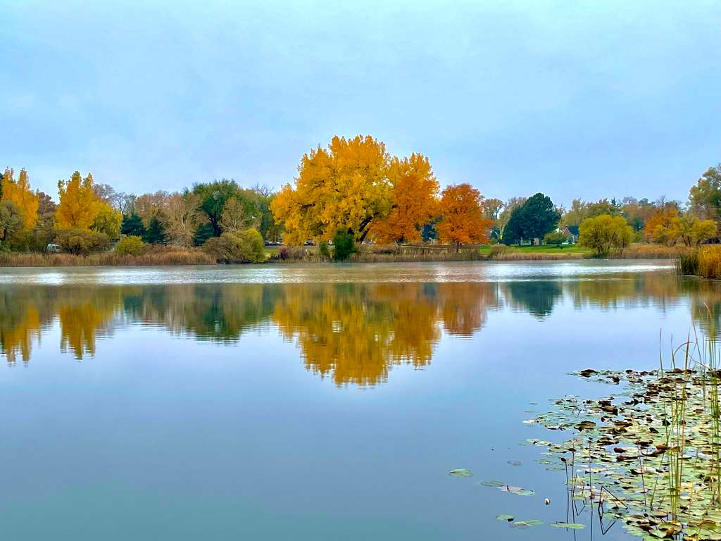 Calm autumn lake reflecting golden trees